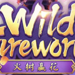 Wild Fireworks sounds